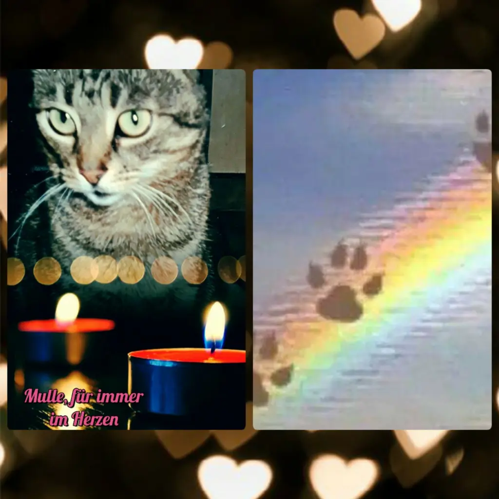 Andachtsbild von Ellen mit Lina ♥️