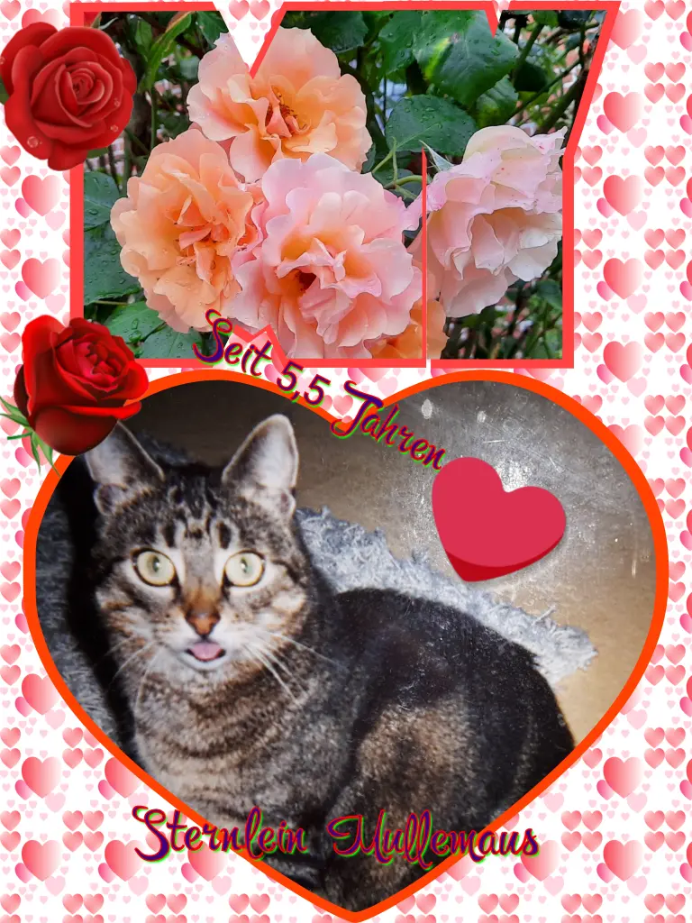 Andachtsbild von Deine Mutti Eike und Oma Edeltraud ❤❤