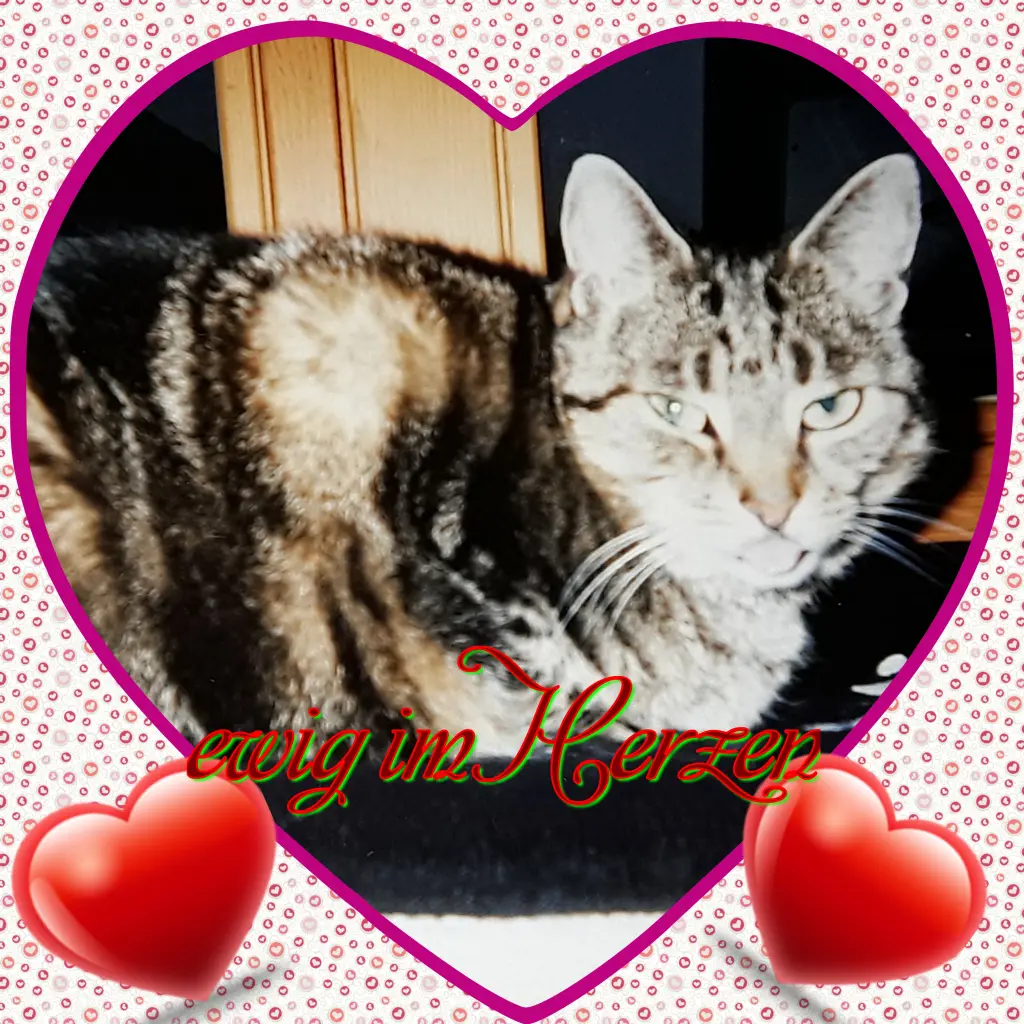 Andachtsbild von ❤In Liebe ❤Deine Mutti Eike und Oma Edeltraud ❤❤