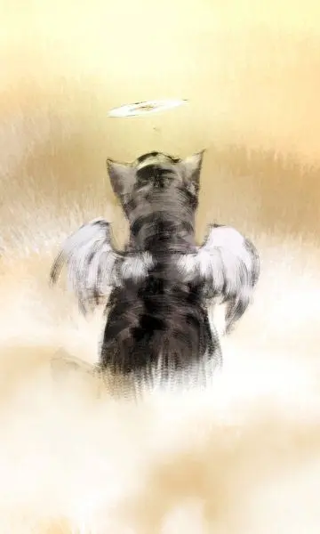 Andachtsbild von  ♥Sฅ^•ﻌ•^ฅB♥