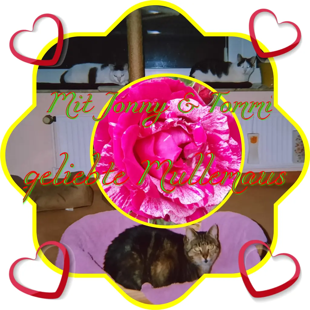 Andachtsbild von ❤Deine Mutti und Oma ❤