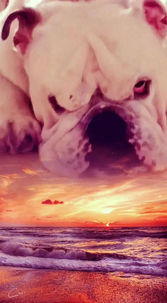 Andachtsbild von Yvonne mit King tief im Herzen❤️✝️13.09.2019 (eng. Bulldog)