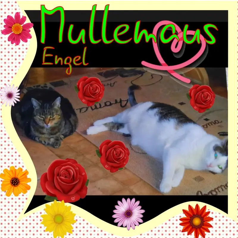 Andachtsbild von ❤Deine Mutti und deine Oma ❤