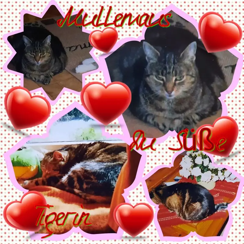 Andachtsbild von ❤Deine Mutti Eike und Oma Edeltraud ❤