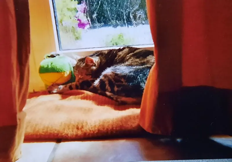 Andachtsbild von ❤Deine Mutti und deine Oma ❤