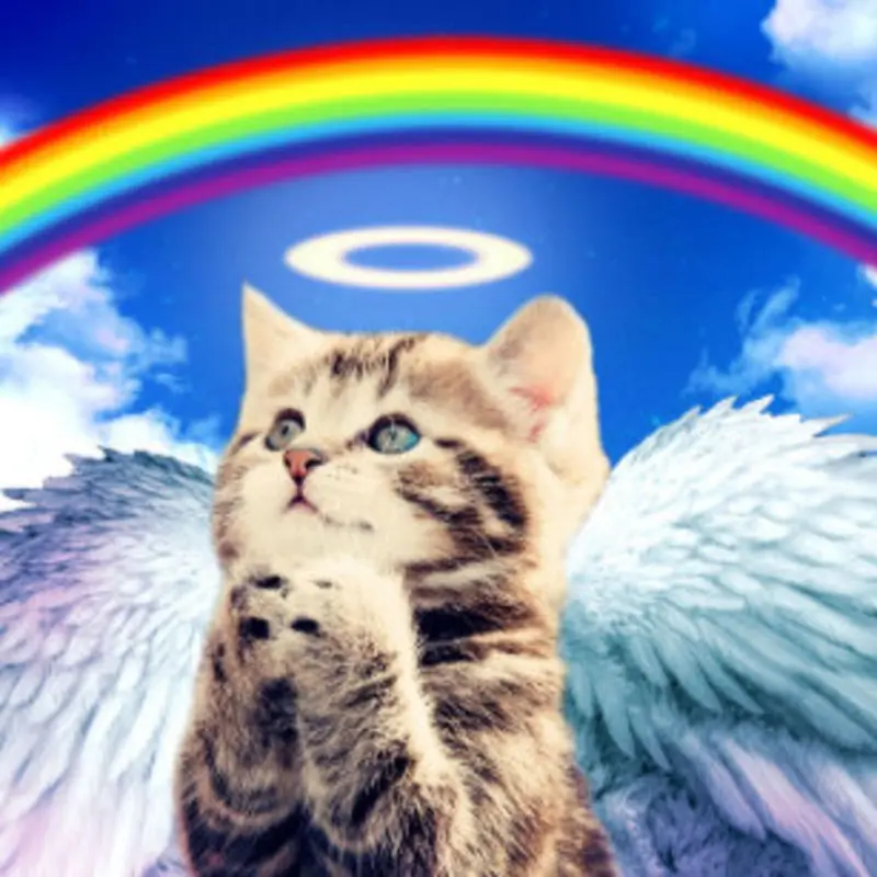 Andachtsbild von Tanja mit Timmy im Herzen 