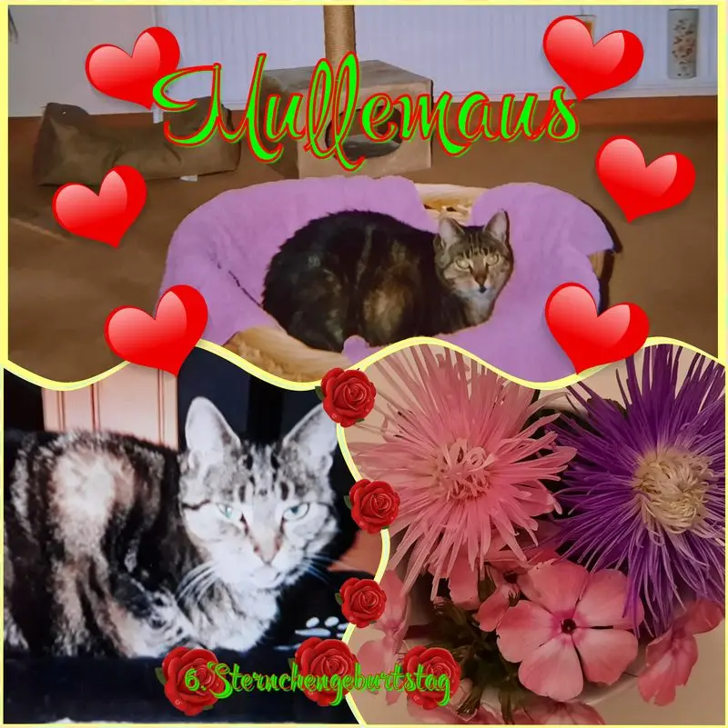 Andachtsbild von ❤Deine Mutti Eike und Oma Edeltraud ❤