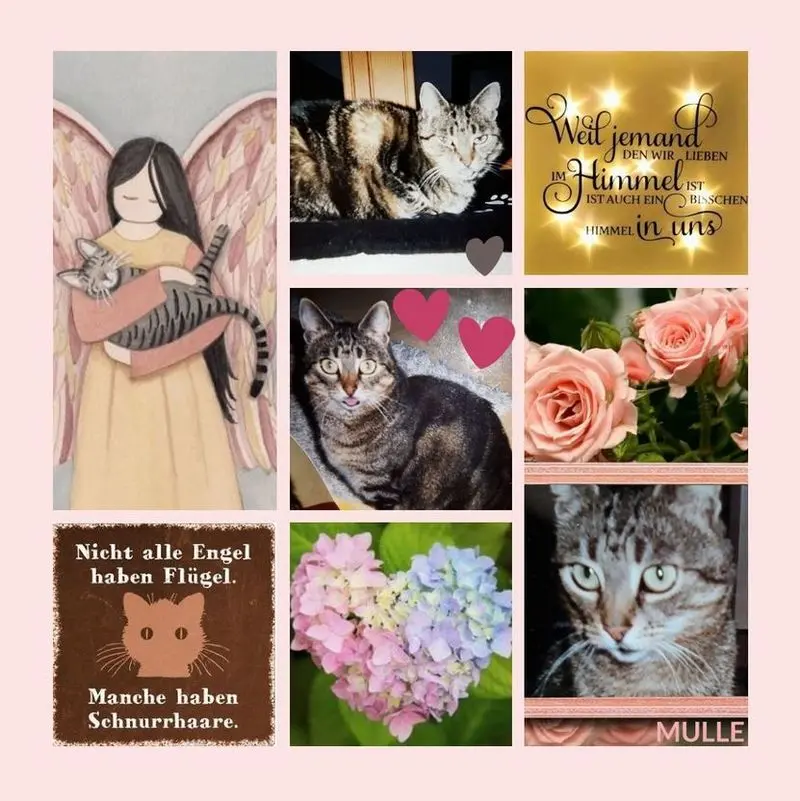 Andachtsbild von Rosen zum 6. Sternchentag für Mulle 