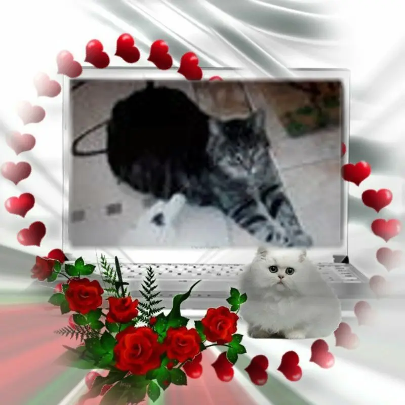 Andachtsbild von 5. STERNCHEN❤️GEDENKTAG❤️❤️❤️❤️❤️