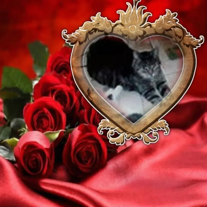 Andachtsbild von ❤️❤️❤️❤️❤️❤️❤️❤️❤️❤️❤️❤️❤️❤️