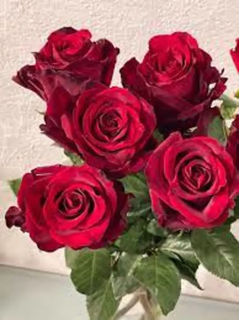 Andachtsbild von Corinna mit Emma, Pummelchen und anderen Sternlein im Herzen