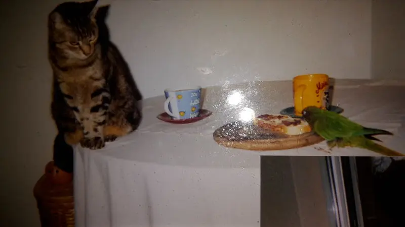 Andachtsbild von ❤Deine Eike und Oma Edeltraud ❤