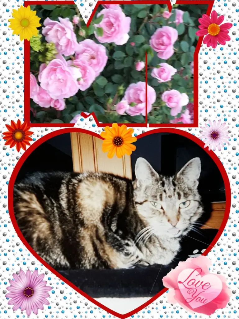 Andachtsbild von ❤Deine Mutti Eike und Oma Edeltraud ❤