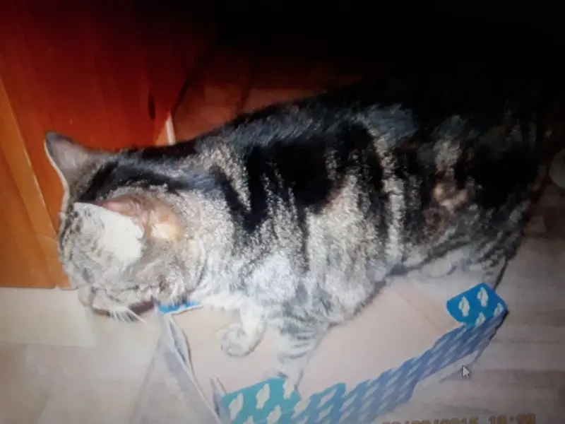 Andachtsbild von ❤Deine Mutti Eike und Oma Edeltraud ❤ 