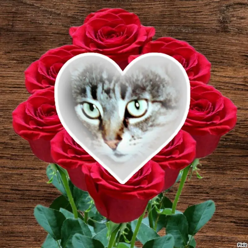 Andachtsbild von Tanja mit Timmy im Herzen