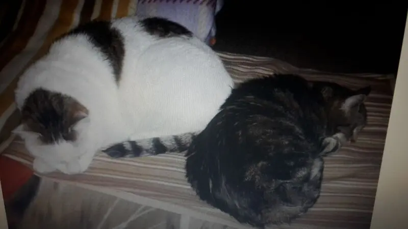 Andachtsbild von ❤Deine Eike und deine Oma ❤