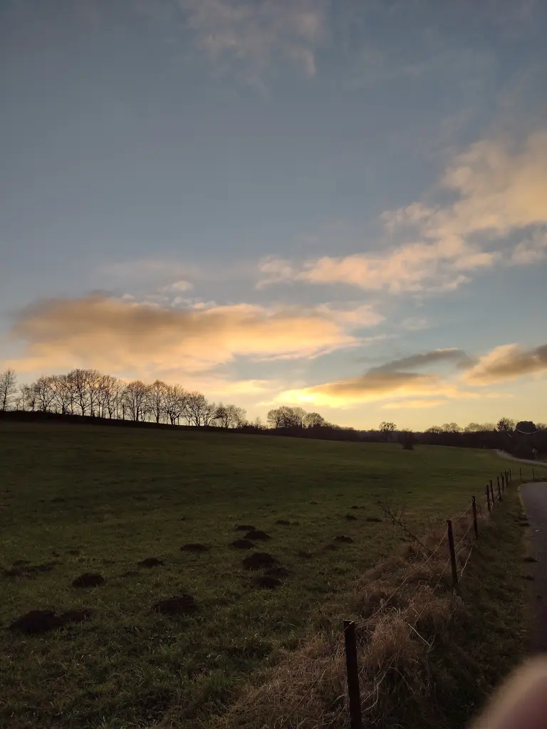 Andachtsbild von Corinna mit Emma, Pummelchen und anderen Sternleine im Herzen