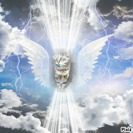 Andachtsbild von Tanja mit Timmy im Herzen 