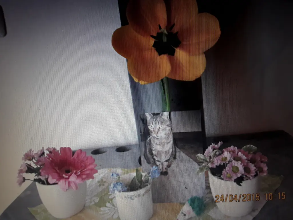 Andachtsbild von ❤Deine Mutti Eike und Oma Edeltraud ❤ 