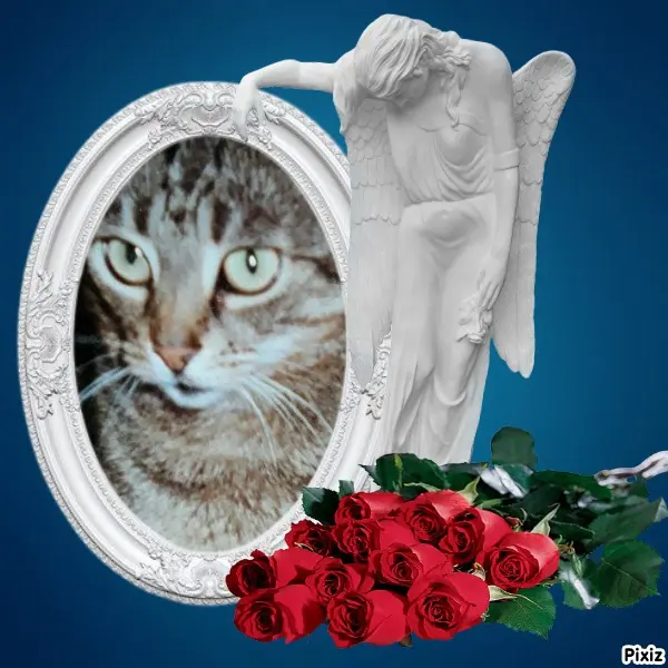 Andachtsbild von Tanja mit Timmy im Herzen 