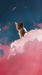 Andachtsbild von Corinna mit Emma, Pummelchen und anderen Sternleine im Herzen