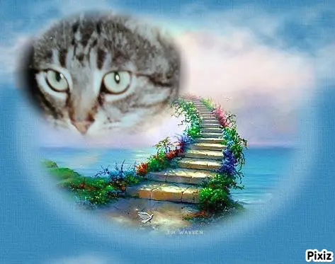 Andachtsbild von Tanja mit Timmy im Herzen 