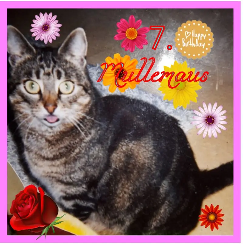 Andachtsbild von ❤Deine Mutti Eike und Oma Edeltraud ❤ 