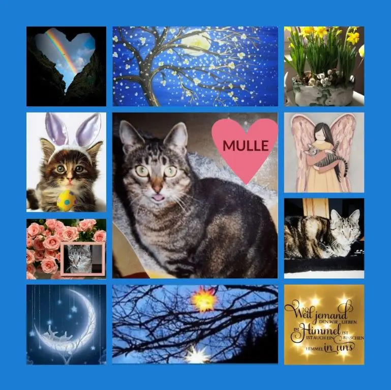 Andachtsbild von Rosen für Mulle zum 7. Sternchentag