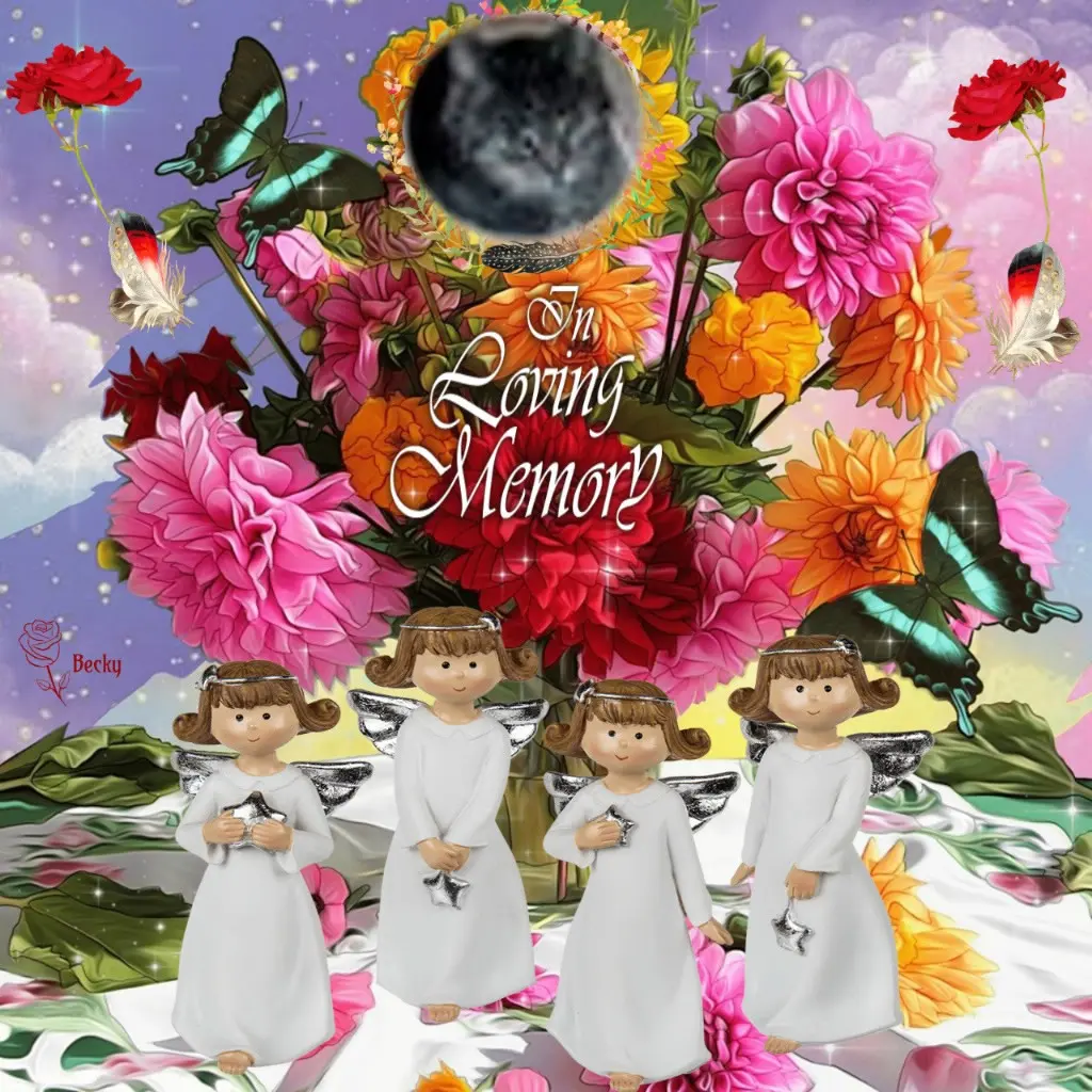 Andachtsbild von 6. Sternchen❤️Gedenktag❤️