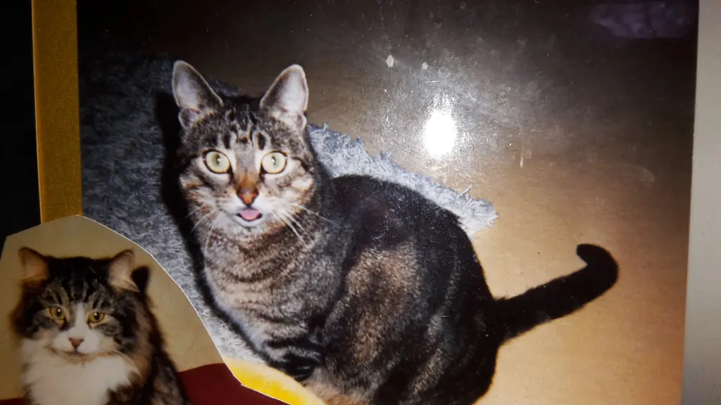 Andachtsbild von ❤Deine Mutti Eike und Oma Edeltraud ❤ 