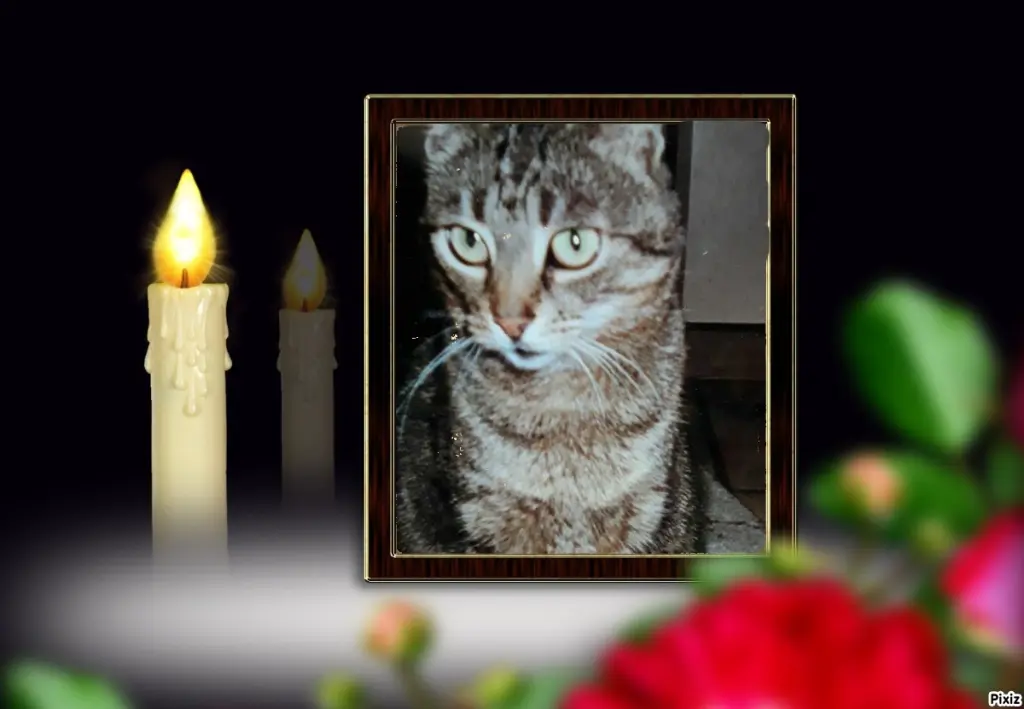 Andachtsbild von Tanja mit Timmy im Herzen 