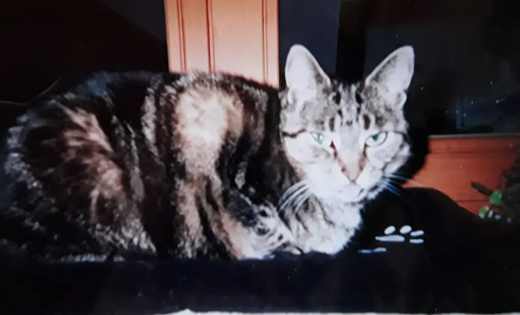 Andachtsbild von ❤️Deine Mutti Eike und Oma Edeltraud ❤️ 