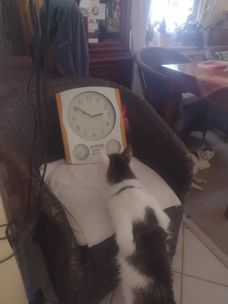 Andachtsbild von Corinna mit Emma, Pummelchen und anderen Sternlein im Herzen