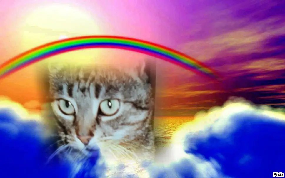 Andachtsbild von Tanja mit Timmy im Herzen 