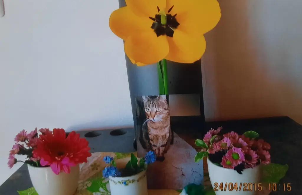 Andachtsbild von ❤️Deine Mutti und deine Oma ❤️ 