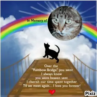 Andachtsbild von Tanja mit Timmy im Herzen 