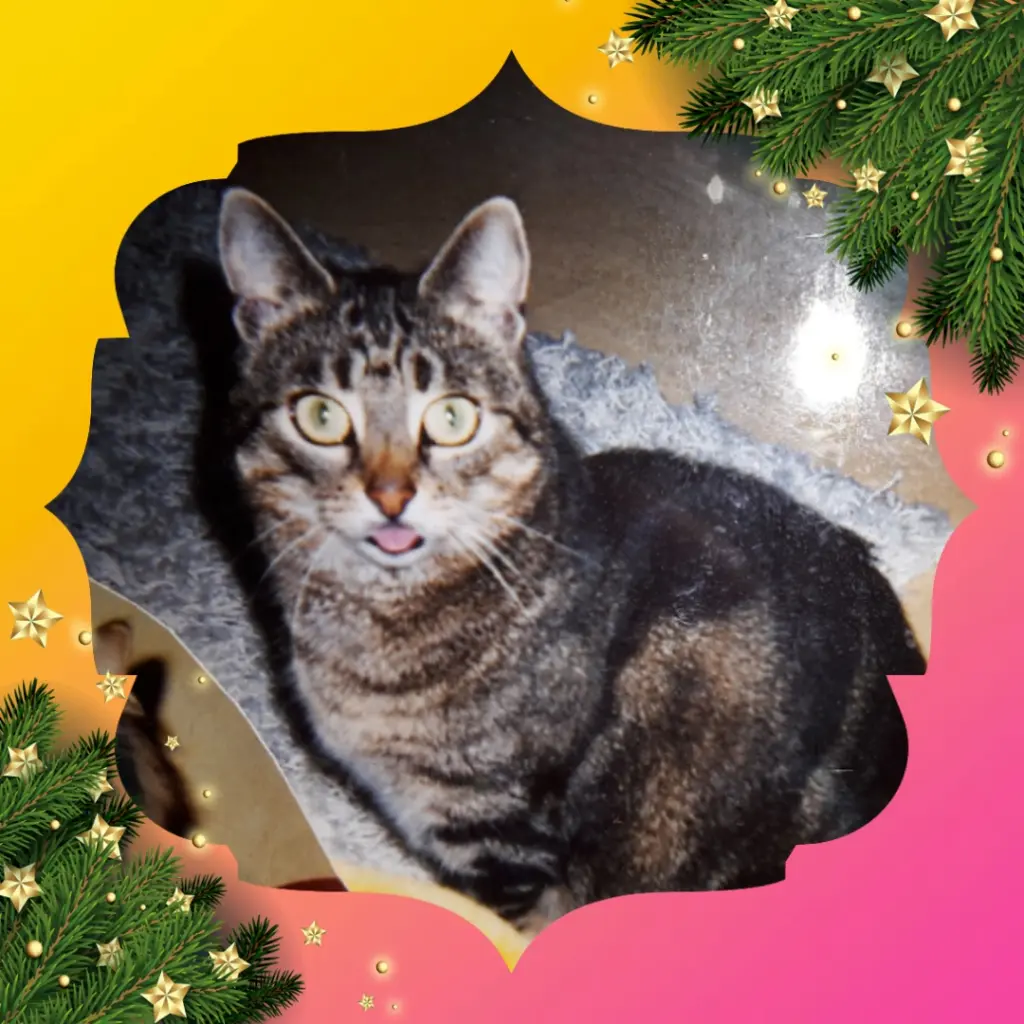 Andachtsbild von ❤️Frohe Weihnachten ❤️Deine Mutti und deine Oma ❤️ 