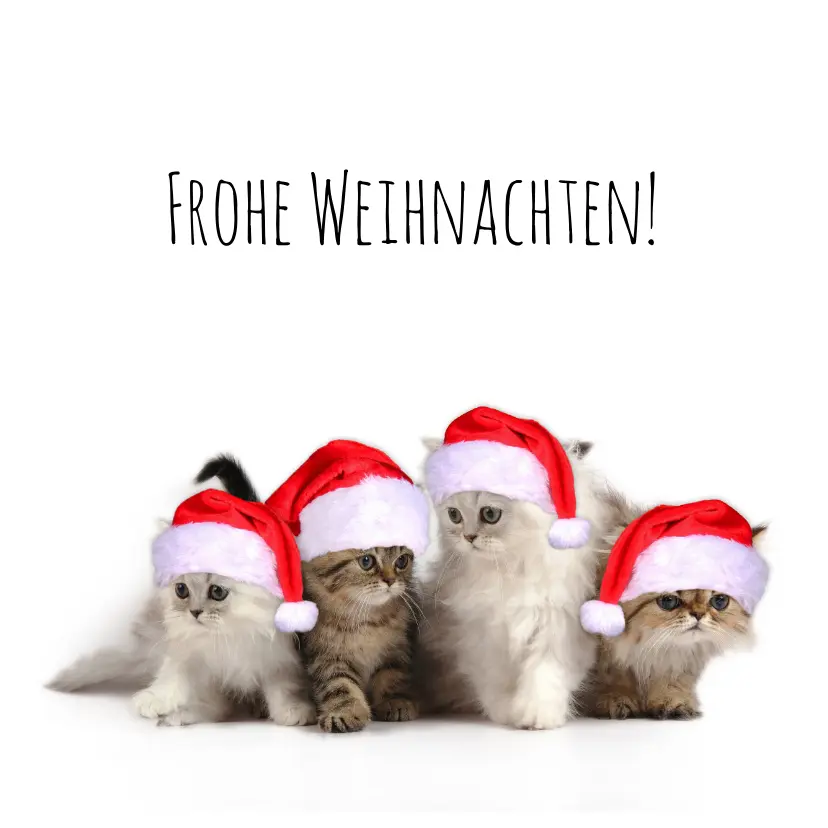 Andachtsbild von Frohe❤❤❤Weihnachten❤❤❤