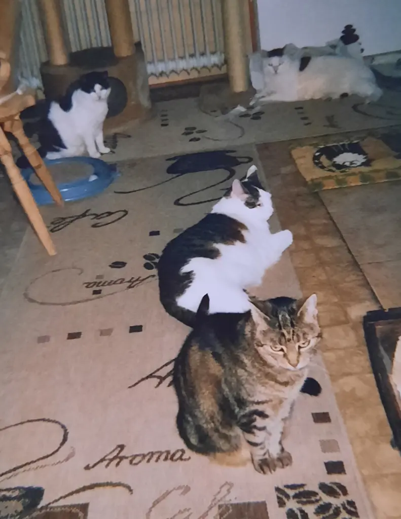 Andachtsbild von ❤️Deine Mutti Eike und Oma Edeltraud ❤️