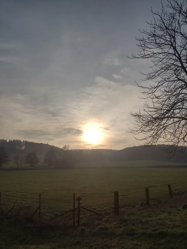 Andachtsbild von Corinna mit Emma, Pummelchen und anderen Sternleine im Herzen