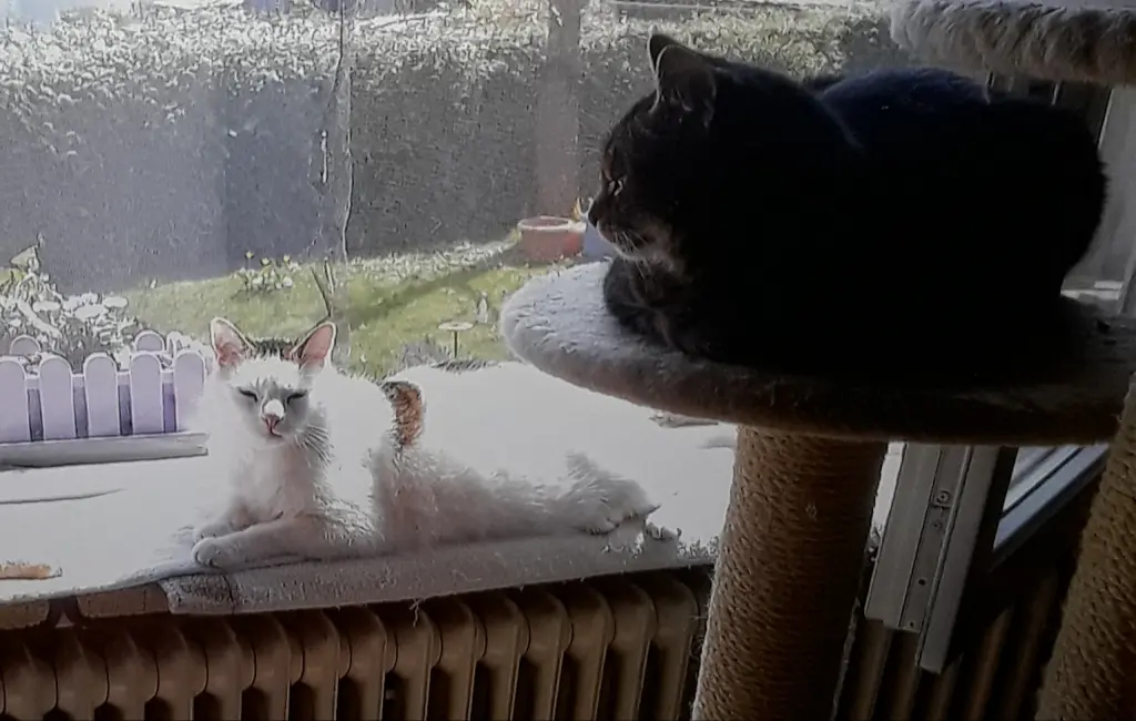 Andachtsbild von ❤️Deine Mutti Eike und Oma Edeltraud ❤️ 