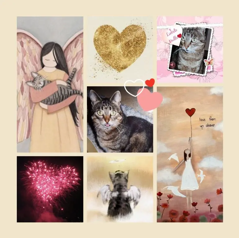 Andachtsbild von Rosen zum 8. Sternchengedenktag für Mulle