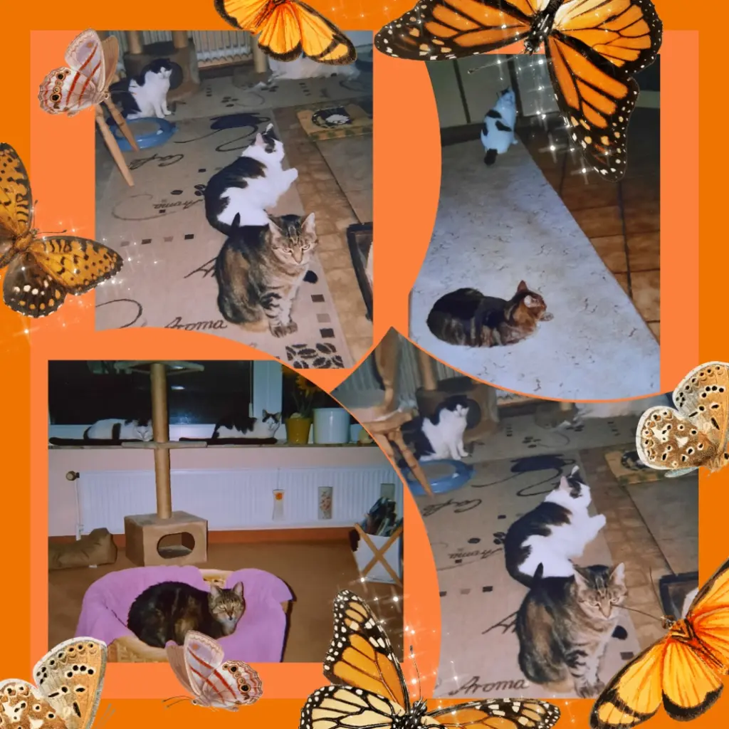 Andachtsbild von Unbekannt