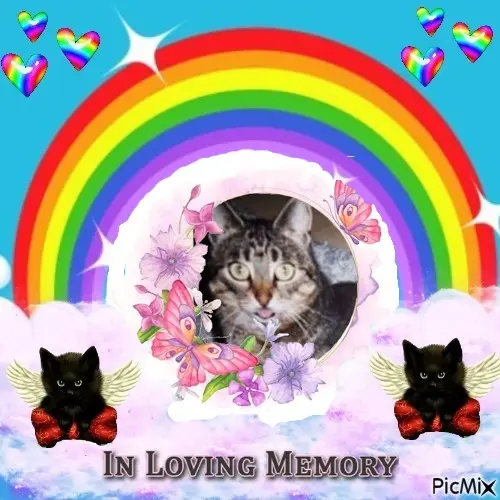 Andachtsbild von 8.Sternchen⭐️⭐️⭐️Gedenktag❤️