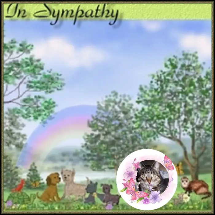 Andachtsbild von 8.Sternchen⭐️⭐️⭐️Gedenktag❤️