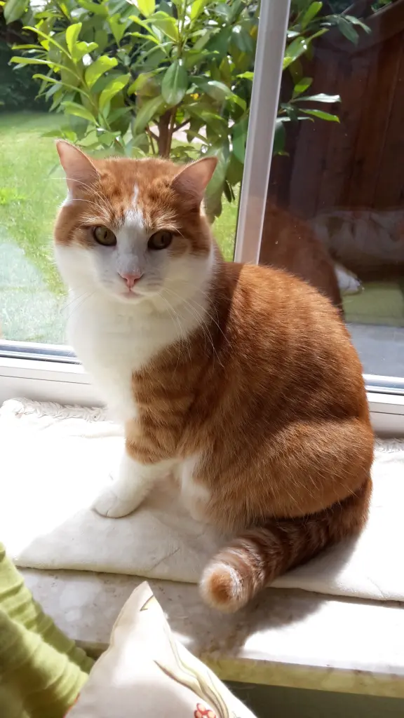 Andachtsbild von ❤️Deine Mutti und deine Oma ❤️ 