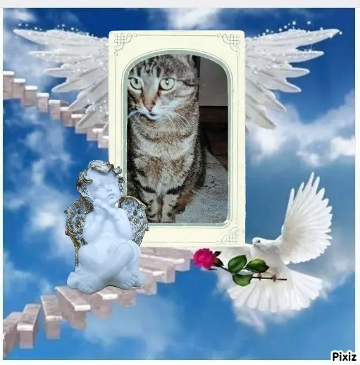 Andachtsbild von Tanja mit Timmy im Herzen 