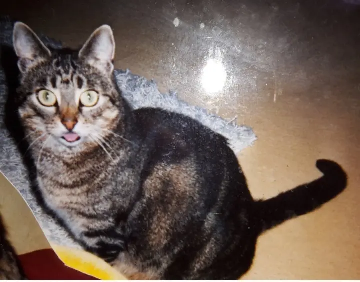 Andachtsbild von ❤️Deine Mutti Eike und Oma Edeltraud ❤️ 