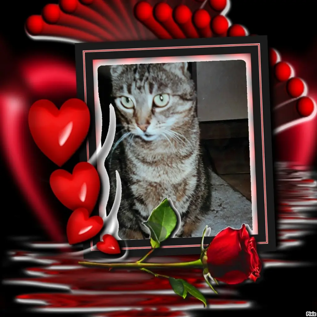 Andachtsbild von Tanja mit Timmy im Herzen 