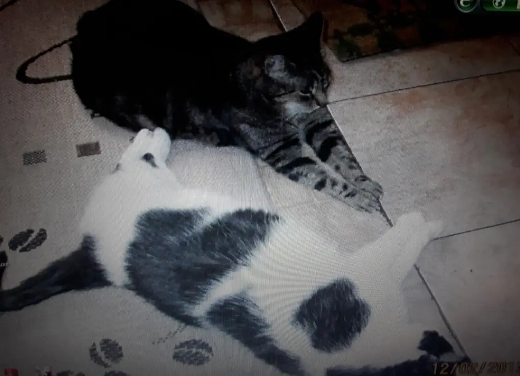 Andachtsbild von ❤️100 Mo❤️Deine Mutti und deine Oma ❤️